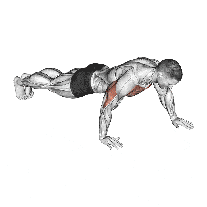 Pushups gif